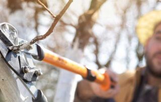 How to market your tree service in winter blog image.