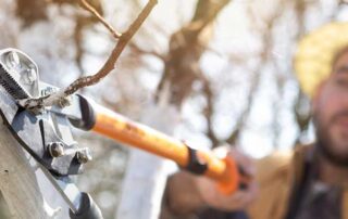 How to market your tree service in winter blog image.